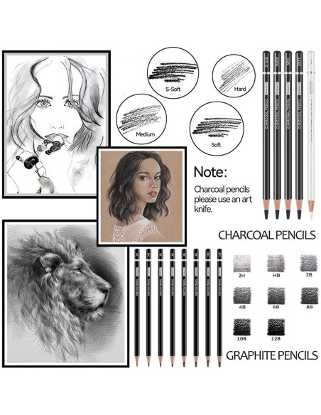 Juego de Lápices de Dibujo Profesional PANDAFLY 22 Piezas Juego de Lápices de Dibujo Profesional PANDAFLY 22 Piezas
