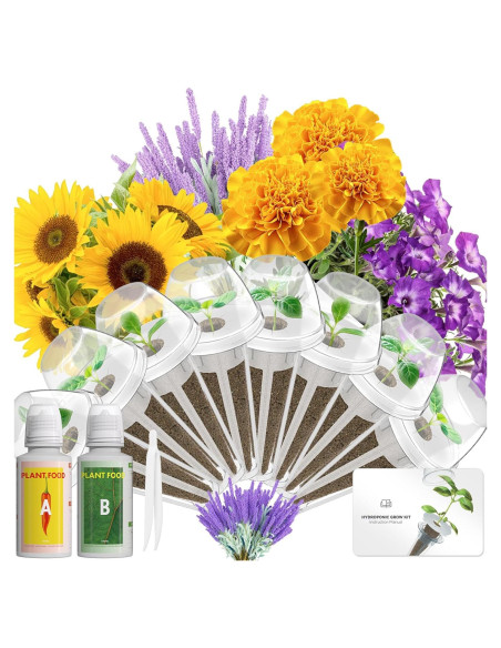Kit de Semillas Hidropónicas LYKOCLEAN 8 Vainas Flores Kit de Semillas Hidropónicas LYKOCLEAN 8 Vainas Flores