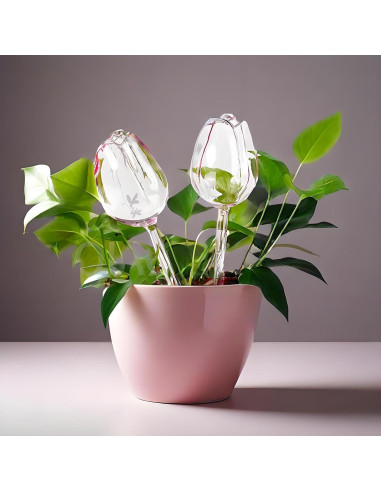 Paquete de 4 Esferas de Autorriego Luyseyha Tulipán 170ml