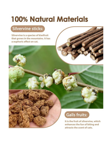 Juguetes para Gatos Tocirelo - Paquete de 10 Silvervine Natural