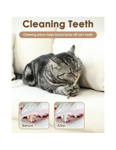 Juguetes para Gatos Tocirelo - Paquete de 10 Silvervine Natural