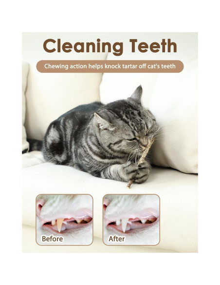 Juguetes para Gatos Tocirelo - Paquete de 10 Silvervine Natural Juguetes para Gatos Tocirelo - Paquete de 10 Silvervine Natural