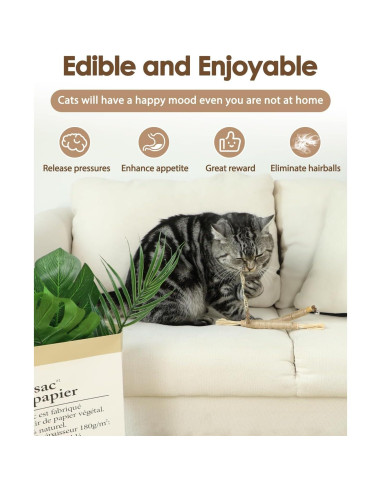 Juguetes para Gatos Tocirelo - Paquete de 10 Silvervine Natural