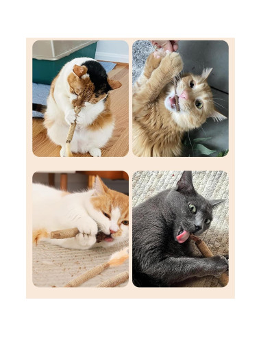 Juguetes para Gatos Tocirelo - Paquete de 10 Silvervine Natural