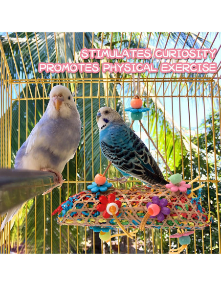 Juguetes para Aves RLRICH - 6 Paquete Coloridos para Loros